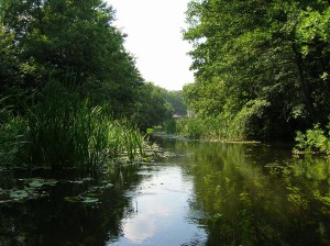 tur-turistvandi-kozeleben-www.szigetkozvizitura.hu.jpg