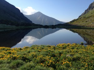 o-nyugati-tatra.jpg