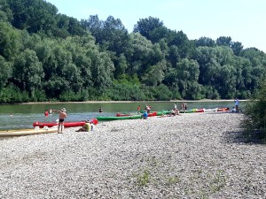 20190811_165029_resized_1--1-.jpg