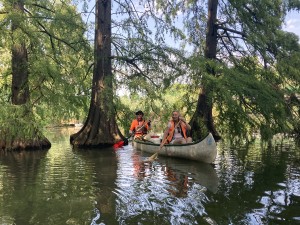 img_7255.jpg