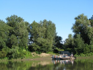 vizitura-tisza-a-komp-vasarosnameny-utan-a-tiszan.jpg