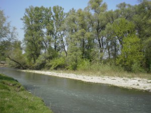 tisza-tura-www.tiszatura-vizitura.eoldal.hu-tiszabokenynel-2.jpg