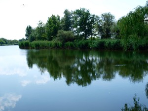 koros-vizitura-www.tiszatura-vizitura.eoldal.hu-cibakhazi-holt-ag-02.jpg