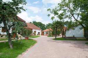 szallas-tiszatura-kenutura-vizitura-tb-evezes-2.jpg