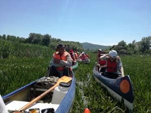img_20170603_bodrogzug-bodrog-vizitura.jpg