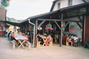 tur-2837.jpg