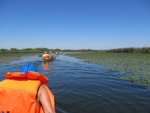 img_1462.jpg