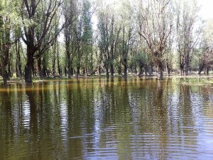 20180420_gemenc-vizitura-kenutura-gemenc.jpg