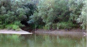 tisza-es-tur-talalkozasa-vasarosnameny-folott-uj.jpg
