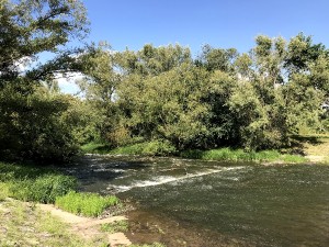 img_8162.jpg